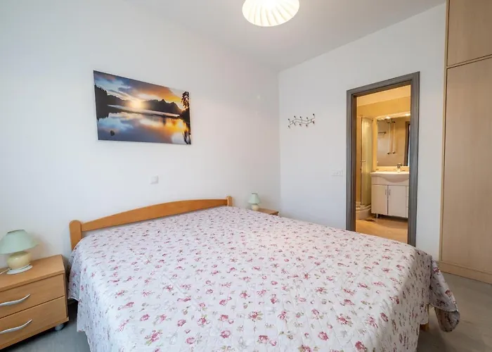 Lucic Apartament *